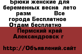 Брюки женские для беременных весна, лето (разм.50 XL). - Все города Бесплатное » Отдам бесплатно   . Пермский край,Александровск г.
